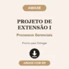 Projeto de Extensão I de Processos Gerenciais pronto para download