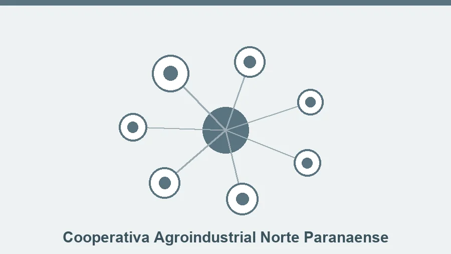 Projeto Integrado O Desafio da Cooperativa Agroindustrial Norte Paranaense